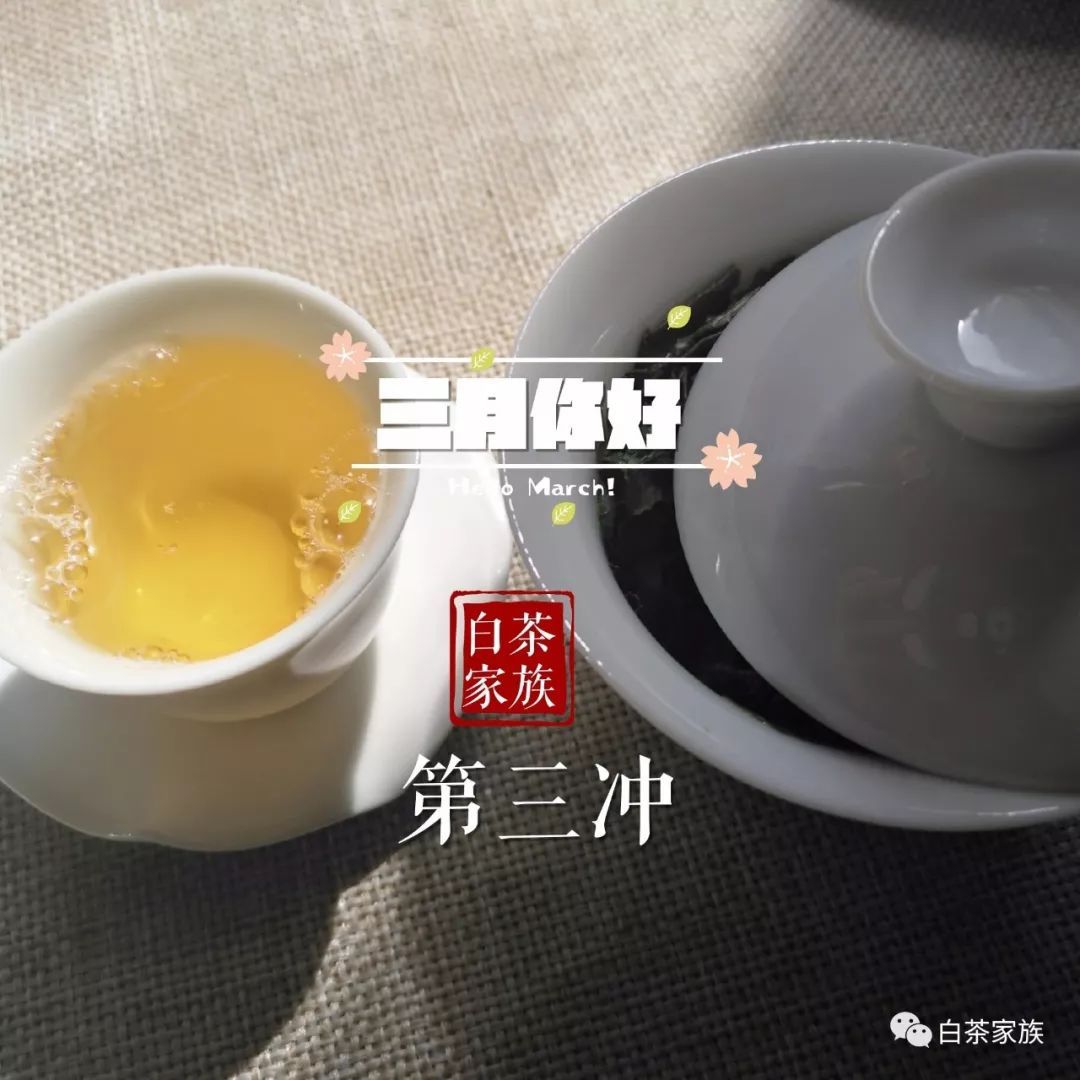 单枞白茶口感和品质如何？