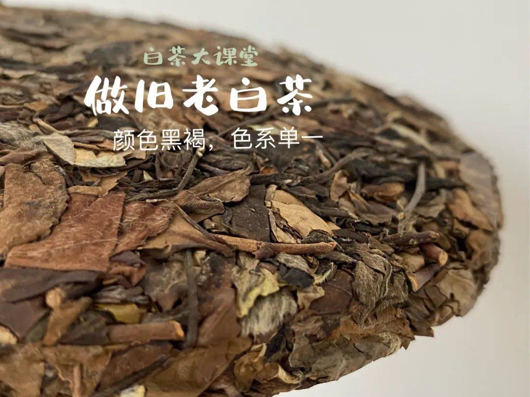 6年福鼎白茶茶饼怎么样：品味正宗福鼎白茶的独特滋味