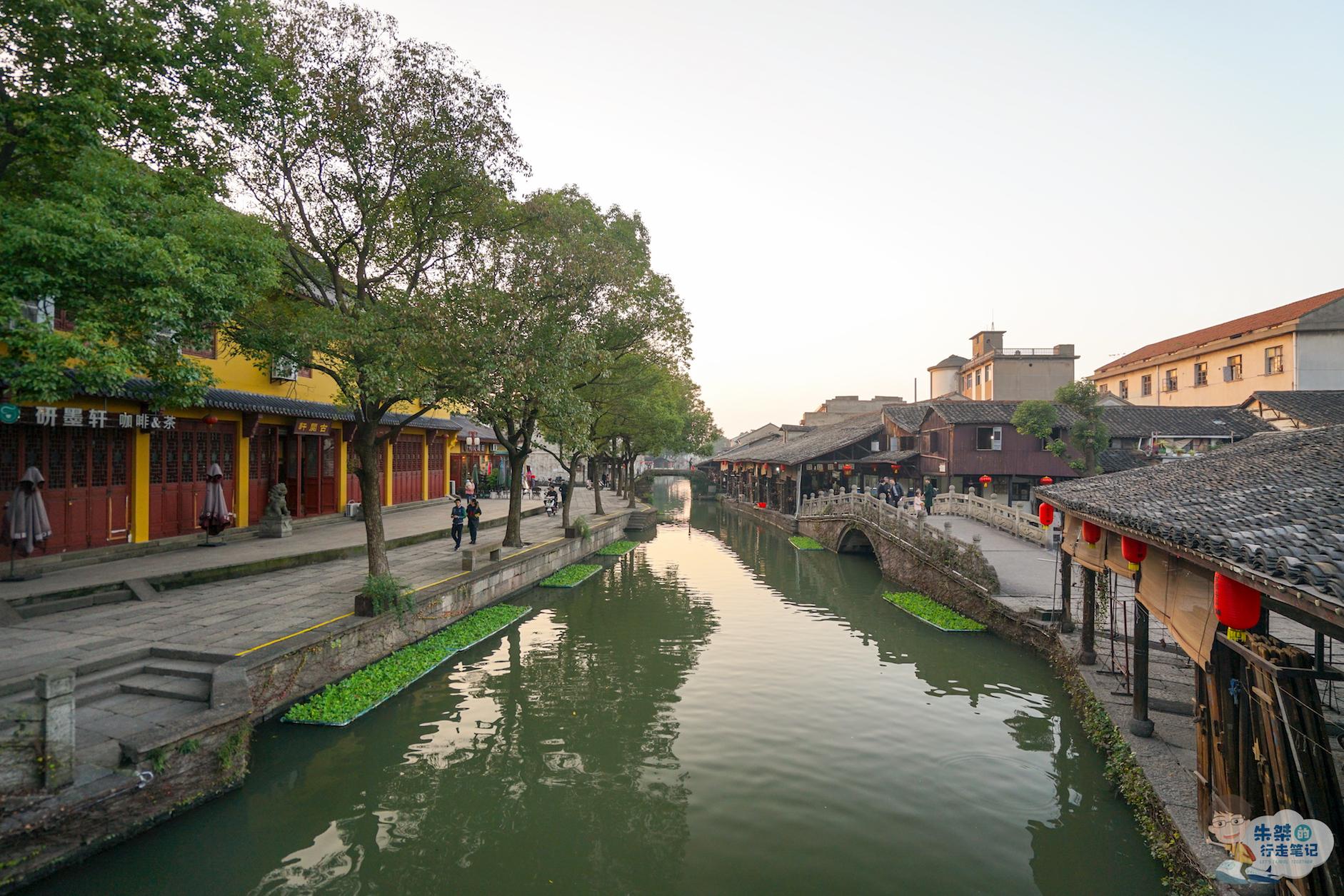 绍兴本地茶叶场及产地，城区的茶叶