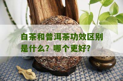 白茶和普洱茶功效区别是什么？哪个更好？