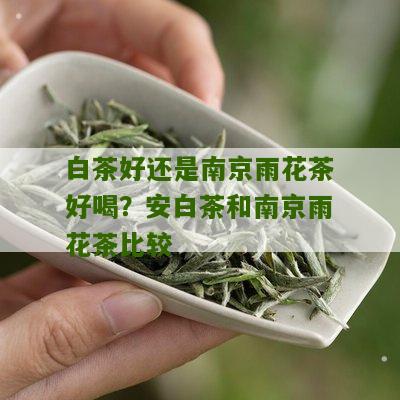 白茶好还是南京雨花茶好喝？安白茶和南京雨花茶比较