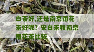 白茶好,还是南京雨花茶好呢？安白茶和南京雨花茶比较