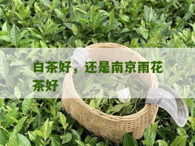 白茶好，还是南京雨花茶好