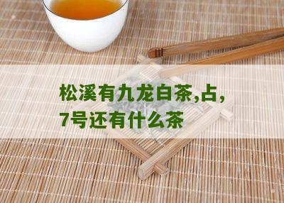 松溪有九龙白茶,占,7号还有什么茶