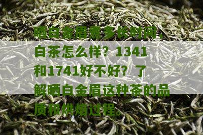 晒白金眉煮多长时间，白茶怎么样？1341和1741好不好？了解晒白金眉这种茶的品质和烘焙过程。