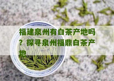 福建泉州有白茶产地吗？探寻泉州福鼎白茶产地