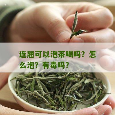 连翘可以泡茶喝吗？怎么泡？有毒吗？