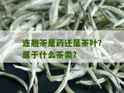 连翘茶是药还是茶叶？属于什么茶类？