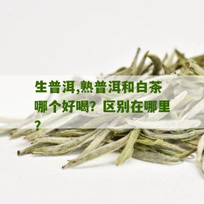 生普洱,熟普洱和白茶哪个好喝？区别在哪里？