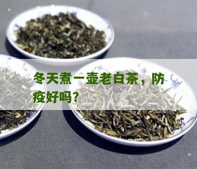 冬天煮一壶老白茶，防疫好吗？