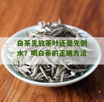 白茶先放茶叶还是先倒水？喝白茶的正确方法！