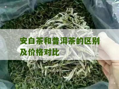 安白茶和普洱茶的区别及价格对比