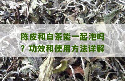 陈皮和白茶能一起泡吗？功效和使用方法详解