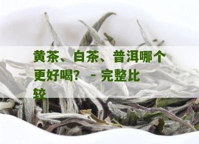 黄茶、白茶、普洱哪个更好喝？ - 完整比较