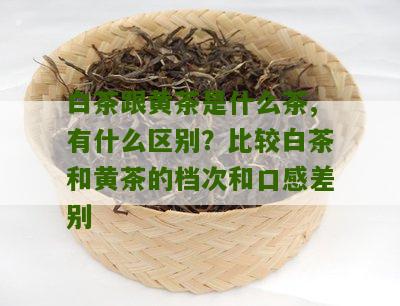 白茶跟黄茶是什么茶,有什么区别？比较白茶和黄茶的档次和口感差别