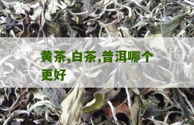 黄茶,白茶,普洱哪个更好