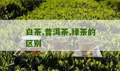 白茶,普洱茶,绿茶的区别