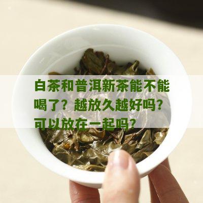 白茶和普洱新茶能不能喝了？越放久越好吗？可以放在一起吗？