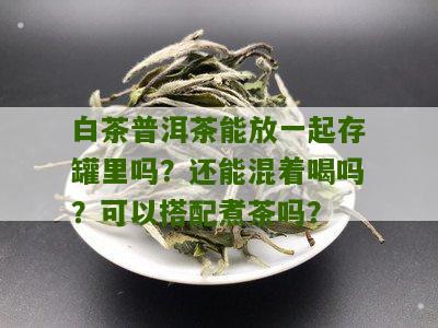 白茶普洱茶能放一起存罐里吗？还能混着喝吗？可以搭配煮茶吗？