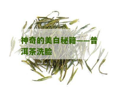 神奇的美白秘籍——普洱茶洗脸