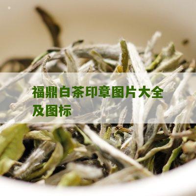 福鼎白茶印章图片大全及图标