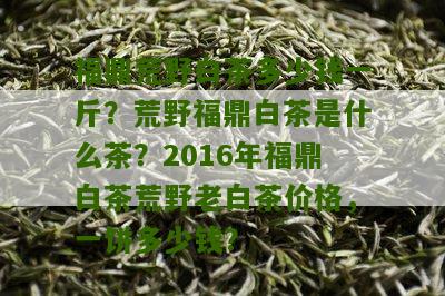 福鼎荒野白茶多少钱一斤？荒野福鼎白茶是什么茶？2016年福鼎白茶荒野老白茶价格，一饼多少钱？