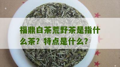 福鼎白茶荒野茶是指什么茶？特点是什么？