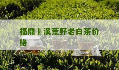 福鼎磻溪荒野老白茶价格