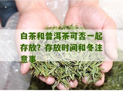 白茶和普洱茶可否一起存放？存放时间和冬注意事