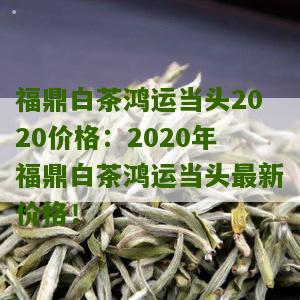 福鼎白茶鸿运当头2020价格：2020年福鼎白茶鸿运当头最新价格！