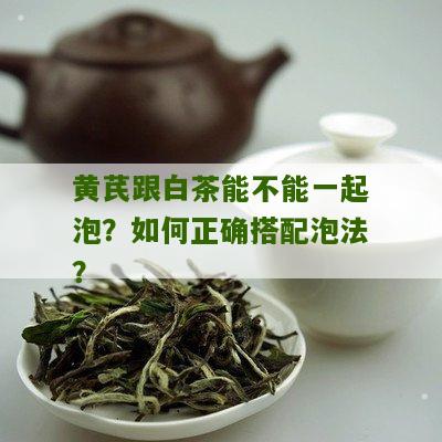 黄芪跟白茶能不能一起泡？如何正确搭配泡法？