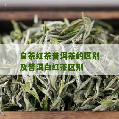 白茶红茶普洱茶的区别及普洱白红茶区别