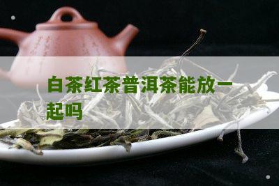 白茶红茶普洱茶能放一起吗