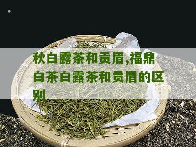 秋白露茶和贡眉,福鼎白茶白露茶和贡眉的区别