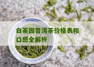 白茶园普洱茶价格表和口感全解析