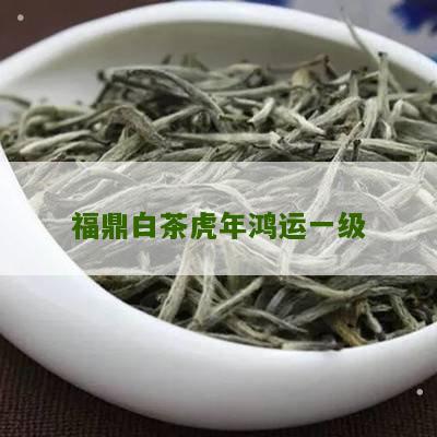 福鼎白茶虎年鸿运一级