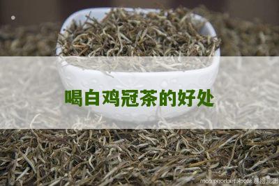 喝白鸡冠茶的好处