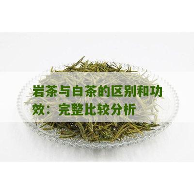 岩茶与白茶的区别和功效：完整比较分析