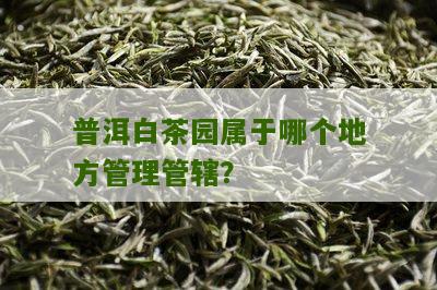 普洱白茶园属于哪个地方管理管辖？