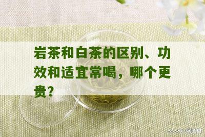 岩茶和白茶的区别、功效和适宜常喝，哪个更贵？