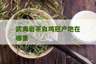 武夷岩茶白鸡冠产地在哪里