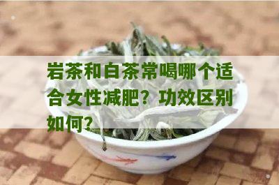 岩茶和白茶常喝哪个适合女性减肥？功效区别如何？