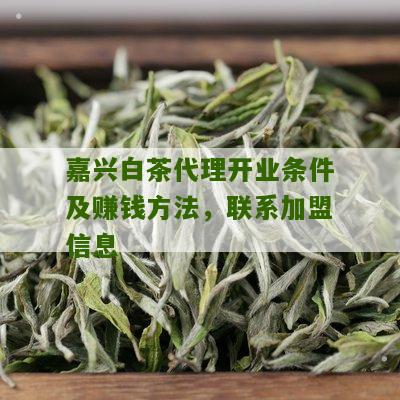 嘉兴白茶代理开业条件及赚钱方法，联系加盟信息