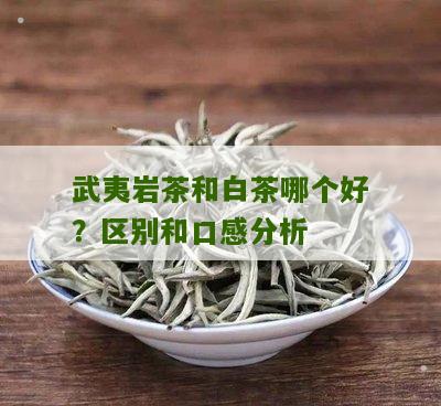 武夷岩茶和白茶哪个好？区别和口感分析