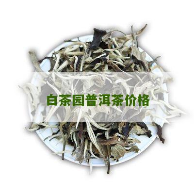 白茶园普洱茶价格