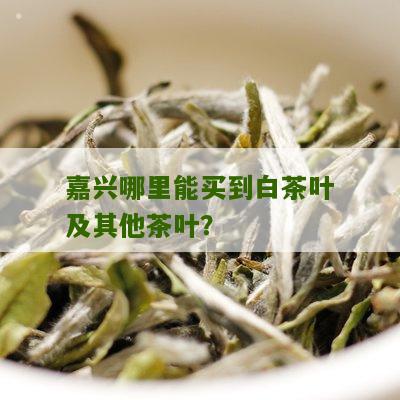 嘉兴哪里能买到白茶叶及其他茶叶？