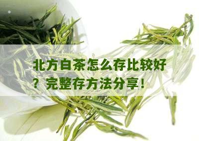 北方白茶怎么存比较好？完整存方法分享！