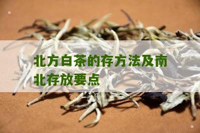 北方白茶的存方法及南北存放要点