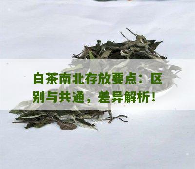 白茶南北存放要点：区别与共通，差异解析！