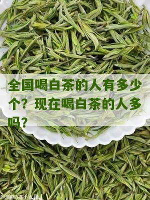 全国喝白茶的人有多少个？现在喝白茶的人多吗？